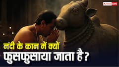 नंदी के कानों में क्यों फुसफुसाते हैं भक्त? जानिए इसके पीछे की मान्यताएं