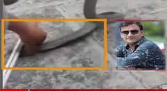 Video : साप पकडण्याच्या प्रयत्न जीवावर बेतला, सर्पदंशाने 40 वर्षीय सर्पमित्राच्या दुर्दैवी अंत; थरारक व्हिडीओ व्हायरल