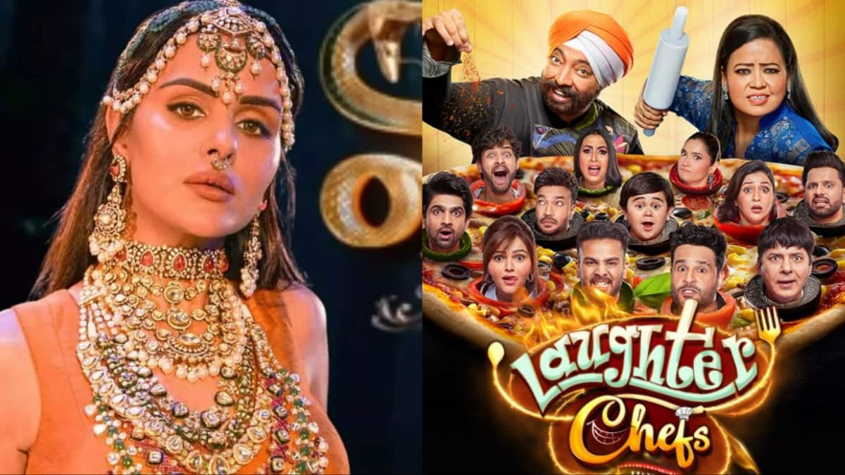 ‘लाफ्टर शेफ्स 3’ से लेकर ‘नागिन 7’ तक, टीवी की दुनिया पर राज करने आ रहे हैं ये धांसू शोज, देखें लिस्ट