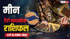 मीन साप्ताहिक टैरो राशिफल (9 से 15 नवंबर 2025): अवसरों से भरा होगा सप्ताह, पढ़ें टैरो राशिफल