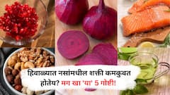 Weak Nerves : हिवाळ्यात नसा कमकुवत होतायत? रोजच्या आहारात घ्या 'ही' फळं!