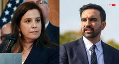 न्यूयॉर्क के मेयर तो बन गए जोहरान ममदानी, लेकिन कुर्सी पर अब भी खतरा? ट्रंप के सपोर्टर के ऐलान से मचा बवाल