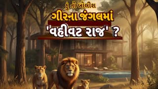 Hun To Bolish : હું તો બોલીશ : ગીરના જંગલમાં 'વહીવટ રાજ'?