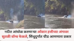 नदीत आंघोळ करणाऱ्या ओंकार हत्तीच्या अंगावर सुतळी बॉम्ब फेकले, सिंधुदुर्गात चीड आणणारा प्रकार