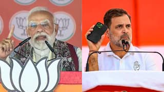 'Election Me Doobne Ki Practice...': PM Modi Takes Jibe At Rahul Gandhi's Fish Pond Dive