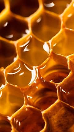 Jaggery And Honey: Which One Is Truly Healthier?