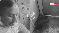 Video: ट्रेन से टकराई चील, शीशा तोड़ ड्राइवर केबिन में घुसी, सामने आया अजीब हादसे का वीडियो