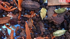 cardamom benefits: रोजाना इलायची चबाने से मिलते हैं ये 11 फायदे, पता लग गया तो कभी नहीं करेंगे इग्नोर