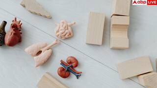 Kidney Disease: ये 5 सिग्नल नजर आएं तो समझ लें सड़ने लगी है आपकी किडनी, तुरंत भागें डॉक्टर के पास