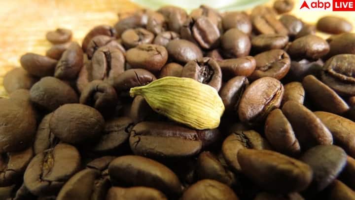 मानसिक सेहत के लिए भी इलायची बेहद उपयोगी है. इसमें मौजूद नैचुरल कंपाउंड्स तनाव कम करते हैं, मूड को अच्छा बनाते हैं और दिमाग को शांत रखते हैं. दिनभर की थकान और चिंता के बाद इलायची वाली चाय दिमाग को आराम देती है.