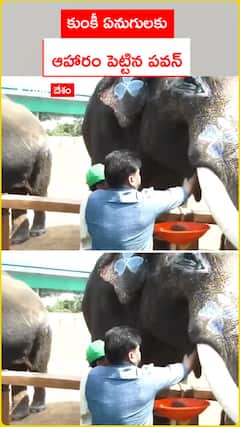 కుంకీ ఏనుగులకు  ఆహారం పెట్టిన పవన్