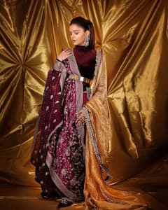 एक्ट्रेस से डिजाइनर बनीं रुबीना दिलैक, सास के दिए सलवार-सूट से बनाई साड़ी, फिर दिए दिलकश पोज