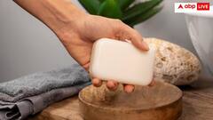 गधी के दूध से बना साबुन! दुबई में बढ़ रहा क्रेज, इसी से नहा रहे ज्यादातर लोग- यूजर्स ने पूछे मजेदार सवाल