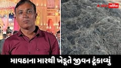 માવઠાના મારથી ખેડૂતે જીવન ટૂંકાવ્યું! રાજકોટના અરડોઈ ગામના ખેડૂતે આર્થિક નુકસાનના તણાવમાં કર્યો આપઘાત