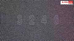 तस्वीर में छिपा है खुफिया नंबर क्या आपको दिखा? 10 सेकंड में देना होगा जवाब