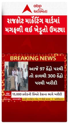 Rajkot Farmer: ટેકાના ભાવે ખરીદીનો પ્રારંભ, રાજકોટ માર્કેટિંગ યાર્ડમાં મગફળી લઈ ખેડૂતો ઉમટ્યા