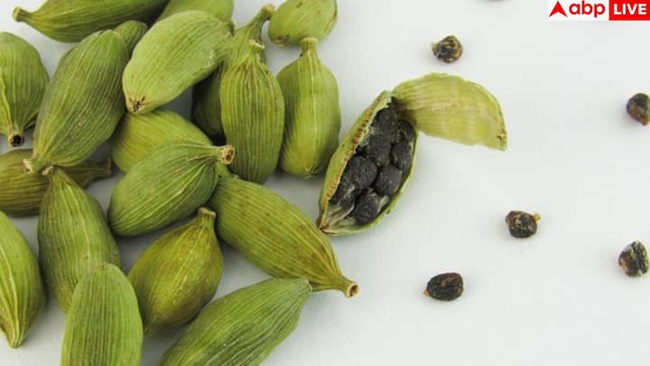 जो लोग ब्लड शुगर को लेकर परेशान हैं, उनके लिए भी इलायची फायदेमंद है. नियमित सेवन से यह ब्लड ग्लूकोज लेवल को संतुलित रखती है. खासकर डायबिटीज के मरीजों के लिए इसका हल्का सेवन काफी राहत दे सकता है.