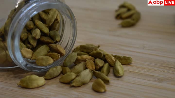 इसके अलावा, इलायची का एक और अहम फायदा है कि यह सांस से जुड़ी समस्याओं में राहत देती है. इसके सूजनरोधी गुण गले की खराश, खांसी और सांस फूलने जैसी दिक्कतों को कम करते हैं. सर्दी-जुकाम के मौसम में इलायची वाली चाय पीना बहुत फायदेमंद रहता है.