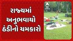Gujarat Weather Update: રાજ્યમાં ઠંડીનો ચમકારો, 12 શહેરોમાં 20 ડિગ્રીથી નીચું તાપમાન