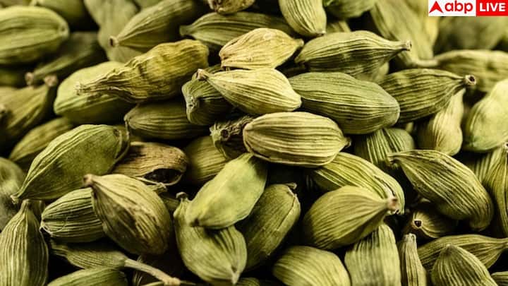 इलायची इम्यून सिस्टम को मजबूत करती है. इसके एंटीऑक्सीडेंट्स और एंटी-इंफ्लेमेटरी गुण शरीर को संक्रमण से बचाते हैं और रोग प्रतिरोधक क्षमता बढ़ाते हैं. मौसम बदलने पर होने वाली सर्दी-जुकाम जैसी दिक्कतों में यह असरदार साबित होती है.