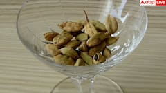 cardamom benefits: रोजाना इलायची चबाने से मिलते हैं ये 11 फायदे, पता लग गया तो कभी नहीं करेंगे इग्नोर