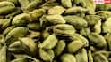 cardamom benefits: रोजाना इलायची चबाने से मिलते हैं ये 11 फायदे, पता लग गया तो कभी नहीं करेंगे इग्नोर