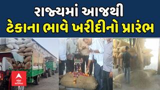 Gujarat Farmers News: રાજ્યમાં આજથી 97 કેન્દ્રો પર ટેકાના ભાવે ખરીદીનો પ્રારંભ