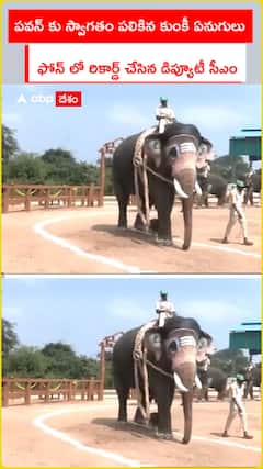 పవన్ కు స్వాగతం పలికిన కుంకీ ఏనుగులు