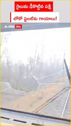 రైలును ఢీకొట్టిన పక్షి  లోకో ఫైలట్‌కు గాయాలు!