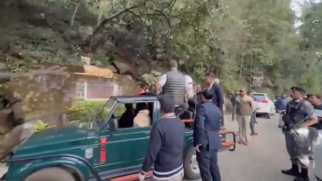 ‘LoP Stands For Leader Of Paryatan & Partying’: BJP’s Dig At Rahul Gandhi Over Jungle Safari Amid Bihar Polls