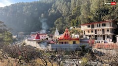 Neem Karoli Baba: मंगलवार के दिन नीम करौली बाबा के ये उपदेश बदल देंगे आपकी ज़िंदगी, मिलेगा सुख, शांति और समृद्धि का रास्ता!