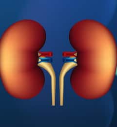 ਰਾਤ ਨੂੰ ਨਜ਼ਰ ਆਉਣ ਵਾਲੇ ਇਹ ਲੱਛਣ ਕਿਡਨੀ ਫੇਲ੍ਹ ਵੱਲ ਦਿੰਦੇ ਸੰਕੇਤ, ਸਮੇਂ ਰਹਿੰਦੇ ਦਿਓ ਧਿਆਨ