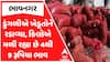 Onion Price Down : ડુંગળીએ ખેડૂતોને રડાવ્યા, કિલોએ મળી રહ્યા છે 4થી 9 રૂપિયા ભાવ, જુઓ અહેવાલ