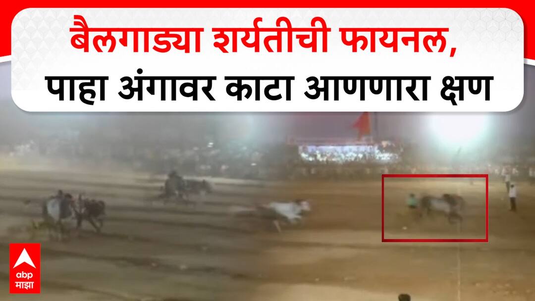 Baidgada Sharyat Race Sangli Final Video Helicopter Baijya Brake Fail Jodi Lakhan Sarja Bailgada Marathi News Baidgada Sharyat Race Final Sangli: 1..2..3 स्टार्ट....बैलगाड्या शर्यतीच्या अंतिम लढतीत काय घडलं? अंगावर काटा आणणारा क्षण, VIDEO
