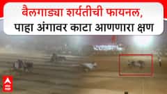 1..2..3 स्टार्ट....बैलगाड्या शर्यतीच्या अंतिम लढतीत काय घडलं? अंगावर काटा आणणारा क्षण, VIDEO
