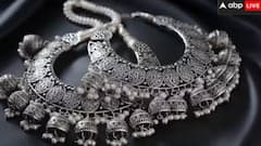 Silver Loan : હવે ચાંદી પર પણ મળશે લોન,  RBI ના નવા નિયમો આવ્યા અમલમાં