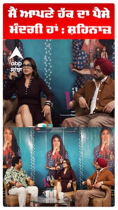 ਫਾਤਿਮਾ ਬਿਲਕੁਲ ਪਰੀ ਵਰਗੀ ਲੱਗ ਰਹੀ ਸੀ