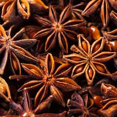 Star Anise : ઘરે બનાવેલા ખોરાકનો સ્વાદ વધારતો મસાલો સ્ટાર વરિયાળી, જાણો તેના ફાયદાઓ
