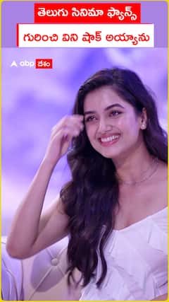 తెలుగు సినిమా ఫ్యాన్స్‌ గురించి విని షాక్‌ అయ్యాను..