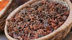 Star Anise : ઘરે બનાવેલા ખોરાકનો સ્વાદ વધારતો મસાલો સ્ટાર વરિયાળી, જાણો તેના ફાયદાઓ