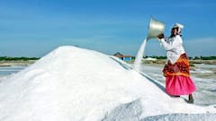 தூத்துக்குடி உப்பு உற்பத்தி: 75% அதிகரிப்பு! விலை வீழ்ச்சி ஏன்? | உப்பு உற்பத்தியாளர்கள் கவலை