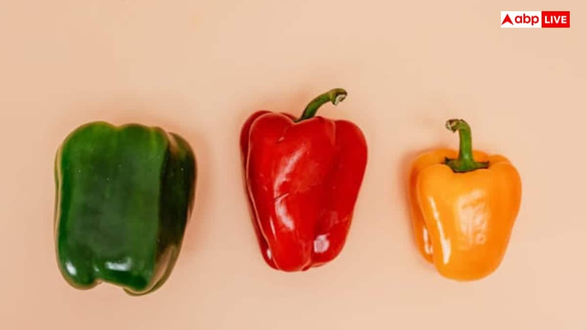 घर पर कैसे करें शिमला मिर्च की खेती? जानें किचन गार्डन में लगाने का आसान तरीका