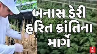 Banas Dairy News : બનાસ ડેરી હરિત ક્રાંતિના માર્ગે, સહકાર મંત્રાલય કરાવશે બટાકાના બિયારણનું ઉત્પાદન