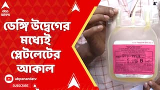 Dengue News: রাজ্যজুড়ে ডেঙ্গি উদ্বেগের মধ্যেই প্লেটলেটের আকাল, কেন এই সঙ্কট? ABP Ananda Live