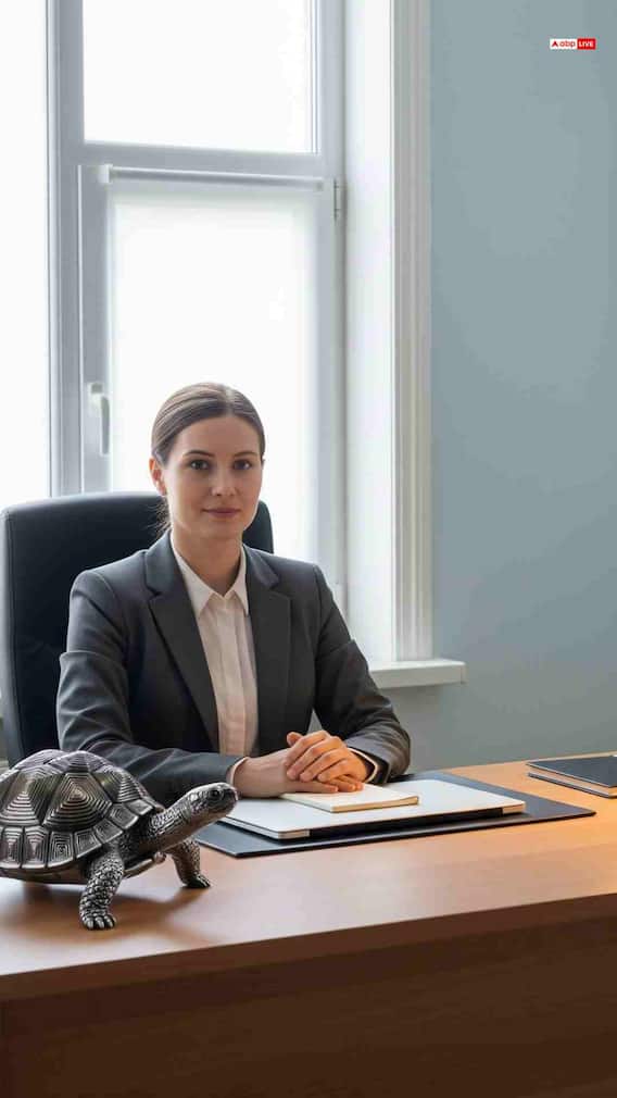 नोकरीत प्रमोशन मिळेल, मेहनतीसोबत 'हे' वास्तू उपाय करा