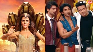 लाफ्टर शेफ से लेकर नागिन 7 तक, टीवी पर आने वाले हैं ये नए 5 शोज, टीआरपी में मचेगा तूफान?