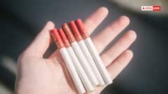 तंबाकू और पान मसाला पर सरकार का नया प्लान! केंद्र ला सकती है एनसीसीडी सेस