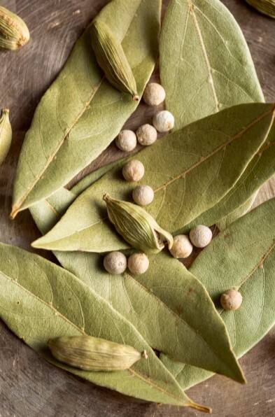 ਤੇਜ਼ ਪੱਤੇ ਦੇ ਗਜ਼ਬ ਫਾਇਦੇ, ਸਿਹਤ ਲਈ ਕੁਦਰਤੀ ਦਵਾਈ! ਕੋਲੈਸਟ੍ਰੋਲ ਘਟਾਓਣ ਤੋਂ ਲੈ ਕੇ ਪਾਚਣ ਪ੍ਰਣਾਲੀ ਨੂੰ ਕਰਦੇ ਸਹੀ