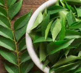 ਕੜੀ ਪੱਤੇ ਵਾਲੀ ਚਾਹ ਪੀਣ ਦੇ ਹੈਰਾਨੀਜਨਕ ਫਾਇਦੇ - ਸਿਹਤ ਲਈ ਕੁਦਰਤੀ ਟੋਨਿਕ!