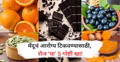 Memory Boosting Foods : रोज 'या' 5 गोष्टी खा, मेंदू राहील तंदरुस्त!